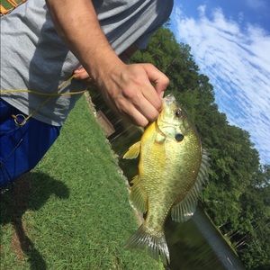 Meet your Posher, Terry